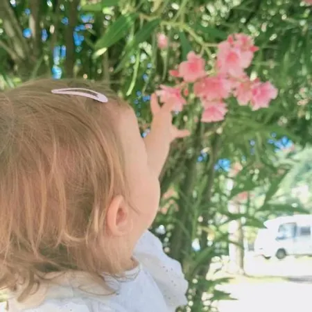 Campsite Camping Solcio Lesa